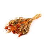 Bouquet séché COVENTINA, épis, orange-naturel, 65cm, Ø23cm