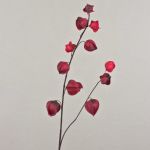 Branche décorative de physalis MARCY, fruits, bordeaux, 95cm