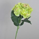 Fleur artificielle Hortensia ANGELINA, crème-vert, 70cm, Ø23cm