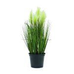 Herbe à plumes décorative TIMEA avec panicules, vert, 60cm