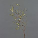 Branche de noisetier décorative XANCHO, brun, 65cm