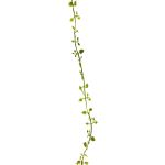 Künstliche Girlande Mühlenbeckia JIAMIN, grün, 240cm