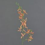 Branche florale artificielle Orchidée Cattleya TRASSA, orange-jaune, 80cm