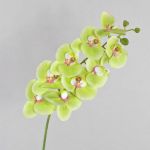 Fausse orchidée Phalaenopsis OPHELIA, vert-rose, 100cm
