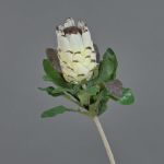 Fleur textile Protée NELLI, blanc-jaune, 75cm, Ø8cm