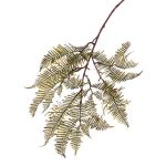 Branche artificielle de fougère Boston KENNET, vert, 90cm