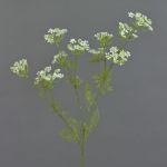 Branche artificielle d'aneth WINCENT, fleurie, blanc-vert, 80cm