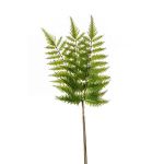 Branche artificielle de Fougère épée HALIMA, vert, 60cm