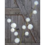 Branche décorative Gomphocarpus ELAENA, fruits, crème-blanc, 100cm