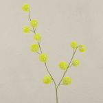 Branche décorative Gomphocarpus ELAENA, fruits, vert, 100cm