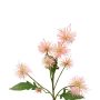 Branche décorative Chardon boule GESKENDA, rose-jaune, 60cm