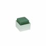 OASIS® Mousse à piquer humide rectangulaire pour des compositions florales, dans une coupe en plastique, vert-crème, 6x6x5,5cm