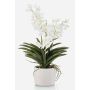 Orchidée Vanda décorative PAVRA en pot en céramique, racines, blanc-crème, 60cm