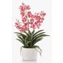 Orchidée Vanda décorative PAVRA en pot en céramique, racines, rose fuchsia-blanc, 60cm