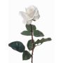 Rose décorative AMELIE, blanc, 70cm, Ø8cm