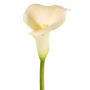 Calla artificielle MIRAC, crème, 75 cm, 12 x 15 cm