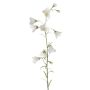 Fleur artificielle Campanule GISELA, blanc, 65cm, Ø5cm
