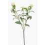 Branche synthétique d'amarante boule DREWON, crème, 65cm, Ø2-3cm