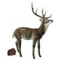 Figurine décorative cerf XXL BLAER, brun-blanc, 138x63x172cm