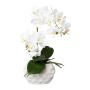 Orchidée Phalaenopsis artificielle GINERT, pot en céramique, racines, blanc, 35cm