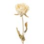 Fleur artificielle Rose PANSOK, aspect sec, crème, 55cm