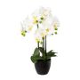 Orchidée Phalaenopsis décorative UKERNA dans un cache-pot en résine, blanc, 55cm