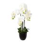 Orchidée Phalaenopsis décorative UKERNA dans un cache-pot en résine, blanc, 70cm