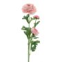Fleur décorative Renoncule PROTO, rose clair, 65cm