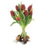 Bouquet de tulipes décoratives LONA avec bulbes, rouge-noir, 35cm, Ø25cm