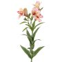 Rameau décoratif de lys des Andes AUBERTA, rose-fuchsia-jaune, 75cm, Ø6cm