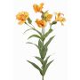 Rameau décoratif de lys des Andes AUBERTA, orange-jaune, 75cm, Ø6cm