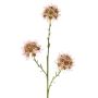 Branche d'allium artificielle ZEBU, rose, 65cm, Ø7cm