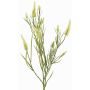 Branche artificielle Trèfle EUTIN avec des fleurs, blanc-vert, 80cm, Ø1,5-2cm