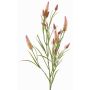 Branche artificielle Trèfle EUTIN avec des fleurs, vieux rose-vert, 80cm, Ø1,5-2cm