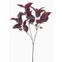 Branche d'eucalyptus artificielle VIZIMIR avec fruits, rouge bordeaux, 80 cm