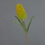 Fleur artificielle Banksia robur EREDIN, jaune-vert, 70cm, Ø7cm