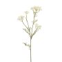 Branche d'aneth artificielle NUTMEG avec fleurs, blanche, 85 cm
