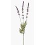 Fleur artificielle de lavande TORNE, violette, 65 cm, Ø 3 cm