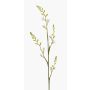 Fleur artificielle Montbretie KATHERYN, crème, 90cm