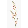 Fleur artificielle Montbretie KATHERYN, orange-rouge, 90cm