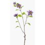 Branche décorative de clématite RUHNA, violette, 75 cm