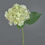 Fleur artificielle: hortensia CALESA, blanc-vert, 50cm, Ø15cm