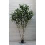 Ficus Benjamina artificiel VIRGILIO, troncs en bois véritable, vert, 400cm - Made in Italy