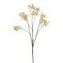 Gypsophile artificielle LITAGO, aspect séché, beige, 70 cm, Ø 1,5 cm