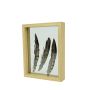Cadre double vitrage en bois NIELAS, marron, 22x17x5cm