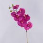 Orchidée Phalaenopsis décorative artificielle RICKY, rose, 95 cm, Ø 7-11 cm