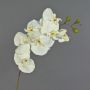 Orchidée Phalaenopsis décorative artificielle RICKY, crème, 95 cm, Ø 7-11 cm