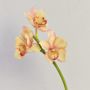 Branche d'orchidée Cymbidium artificielle SERAPHINA, jaune-rose, 45cm, Ø10-13cm
