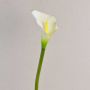 Arum artificiel SUSANA, blanc, 70cm, 8x12cm