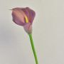 Zantedeschia artificielle TALEA, violette, 65 cm, 9 x 11 cm